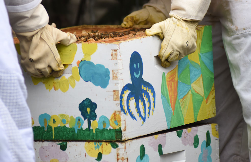 Henry Frees and a participant inspect the beehive